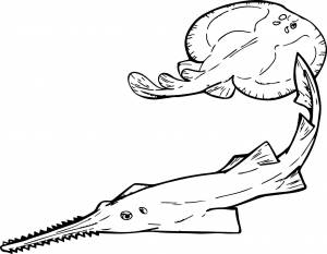 Раскраски Рыба