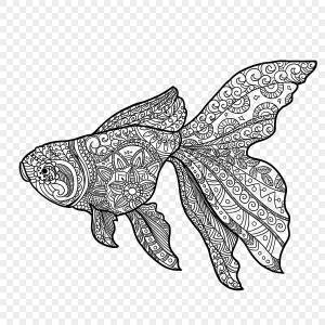 рисунок Абстрактный дзен рисовать линии наброски рыбы PNG , рисунок рыбы, золотая рыбка, Шаблон PNG картинки и пнг PSD рисунок для й загрузки