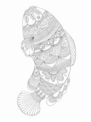 Раскраски Рыбы Антистресс