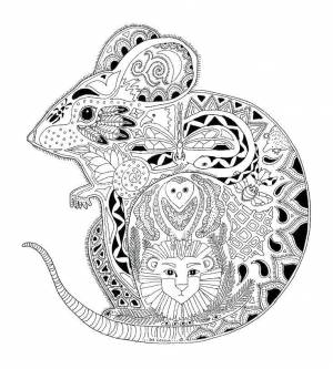 Раскраски Раскраска Раскраска антистресс раскраски антистресс рыбы