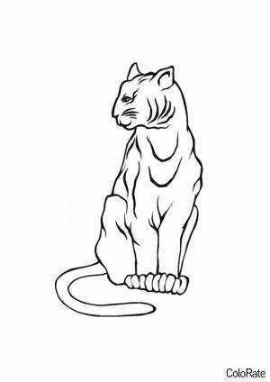 Раскраска Рысь