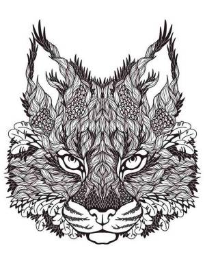 Раскраски Рысь Антистресс