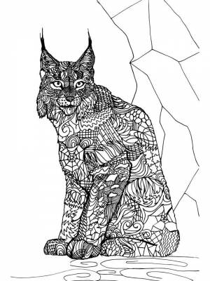 Раскраски Рысь Антистресс   в формате