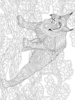 Раскраски Рысь Антистресс