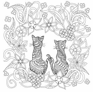 Влюбленная пара кошечек