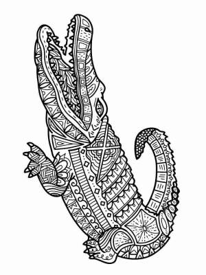 Раскраски Крокодил Антистресс