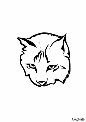 Раскраска Голова рыси