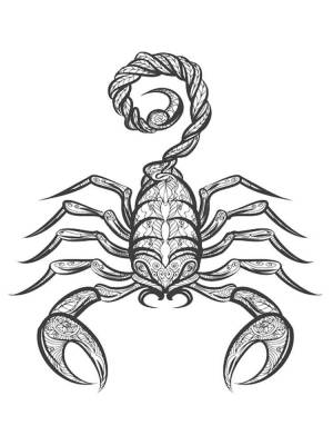 Раскраски Скорпион Антистресс