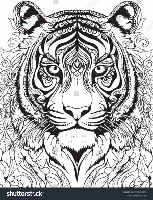 Hand Drawn Vector Coloring Page Tiger