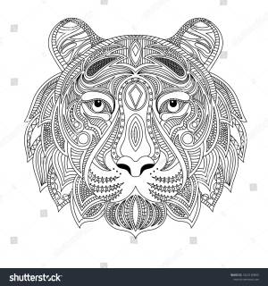 Tiger Head Coloring Book Illustration Antistress