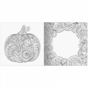 Раскраска для взрослых 228*228 ArtSpace Антистресс-терапия