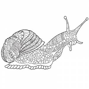 Zebrafish Zentangle стзованные