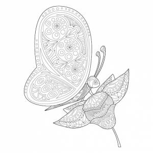 Бабочка и цветок векторная иллюстрация в стиле zentangle раскраска антистресс для детей