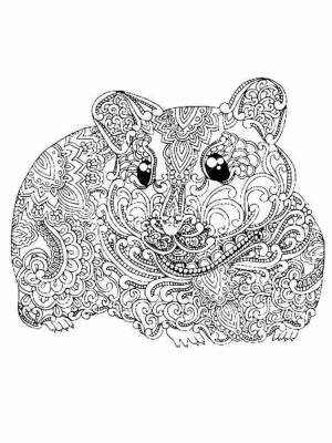 Раскраски Хомяк Антистресс