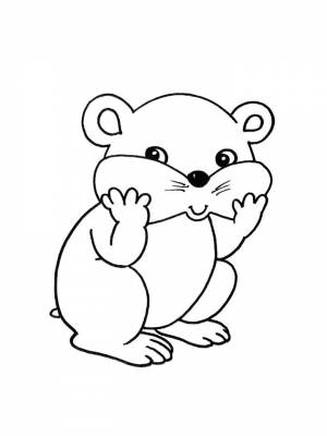 Детские раскраски Хомяк   в формате