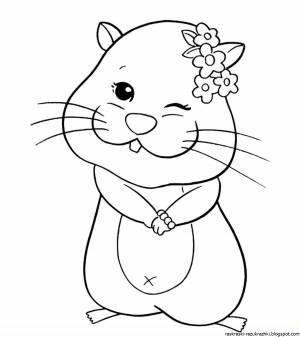 Хомячок раскраска для детей