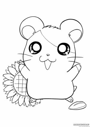 Хомяк раскраска