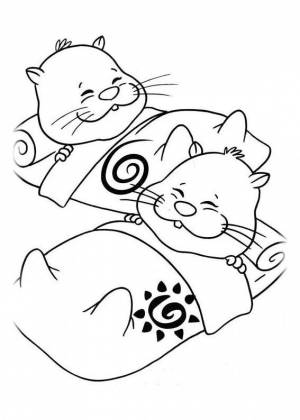 Раскраски хомяк и кот