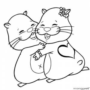Раскраски хомяк и кот