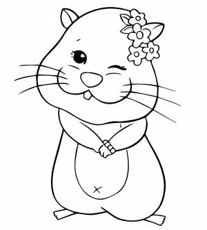 Хомяк раскраска