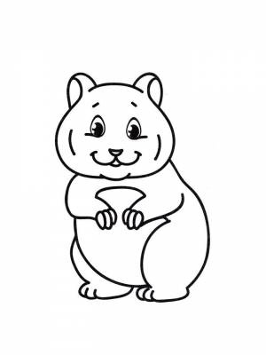 Детские раскраски Хомяк   в формате