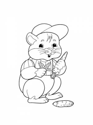 Детские раскраски Хомяк   в формате