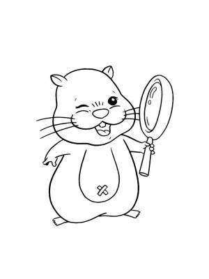 Детские раскраски Хомяк   в формате