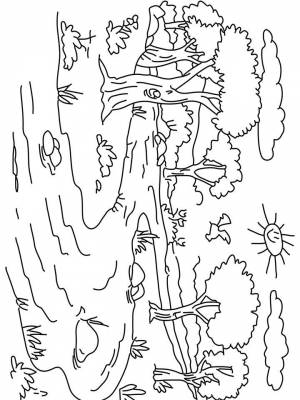 Раскраска Пейзаж   в формате