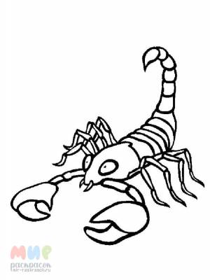 Раскраска Скорпион