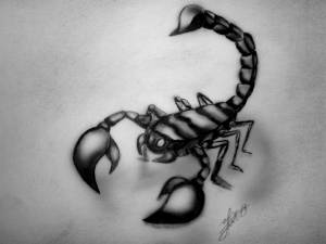 Рисунки для срисовки Скорпион