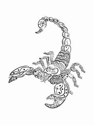Раскраски Скорпион Антистресс