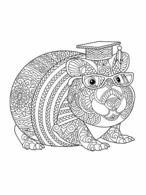 Раскраски Хомяк антистресс