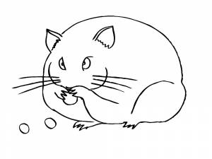 Раскраска Хомяк