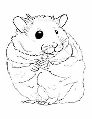 Раскраска Хомяк