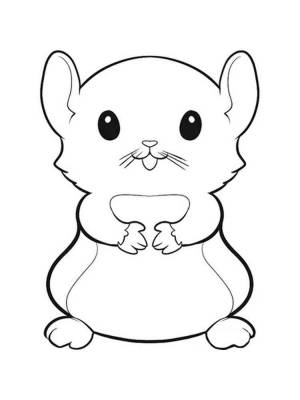 Детские раскраски Хомяк