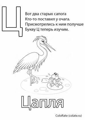 Раскраска Буква Ц