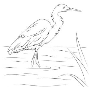 Журавль рисунок раскраска