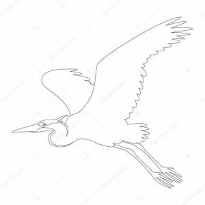 Журавль рисунок раскраска