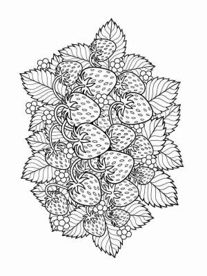 Раскраски Фрукты Антистресс