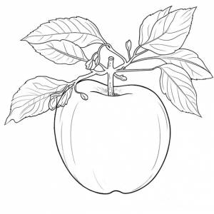 Раскраска яблоко
