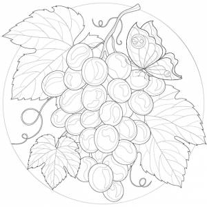 Гроздь винограда с листом