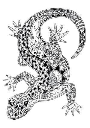 Раскраски ящерка, Раскраска Ящерка антистресс