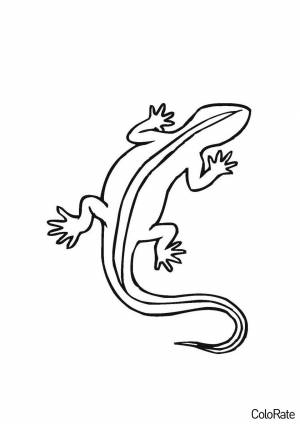 Раскраска Ящерка