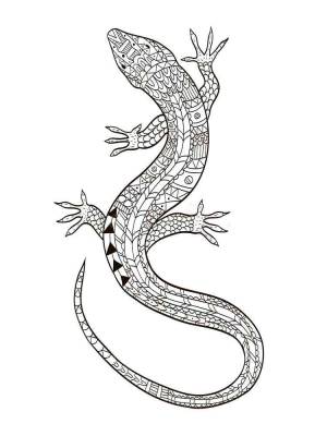 Раскраски Ящерица Антистресс
