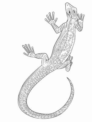 Раскраски Ящерица Антистресс