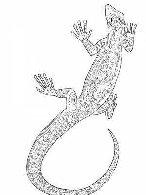Раскраски Ящерица Антистресс   в формате