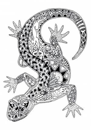 Раскраска антистресс животные  а4