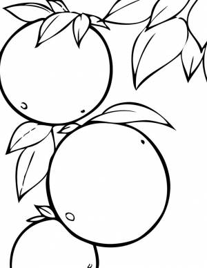 Раскраска апельсин