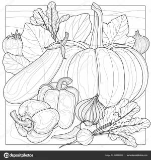 Овощи Саду Раскраска Книги Антистресс Детей Взрослых Стиль Дзен Клукс Векторное изображение ©vlasenko