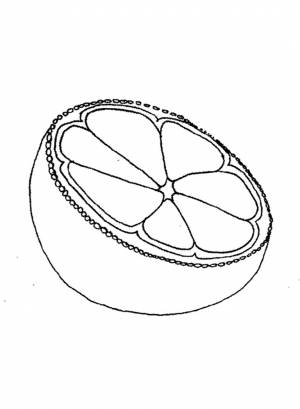 Раскраска апельсин